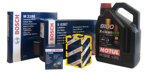 platinum periyodik bakım planı